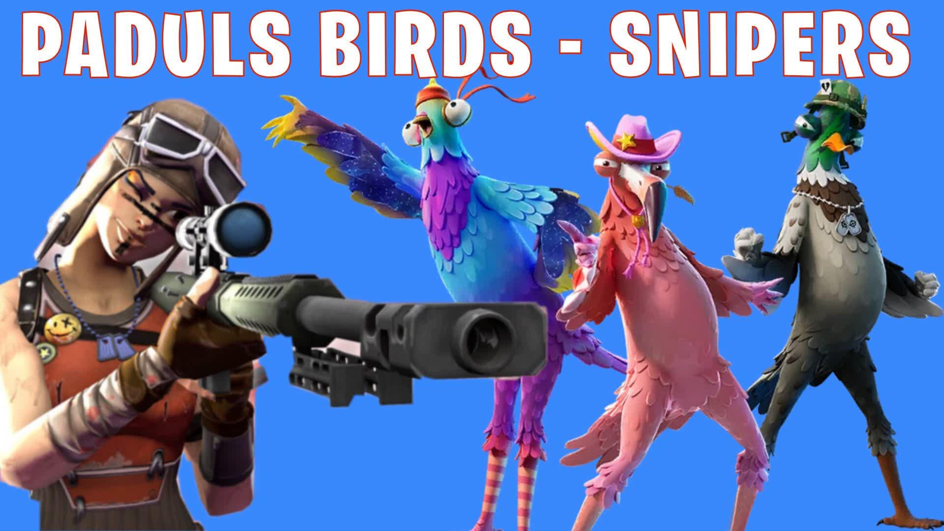 Padul Birds Haunting snipers