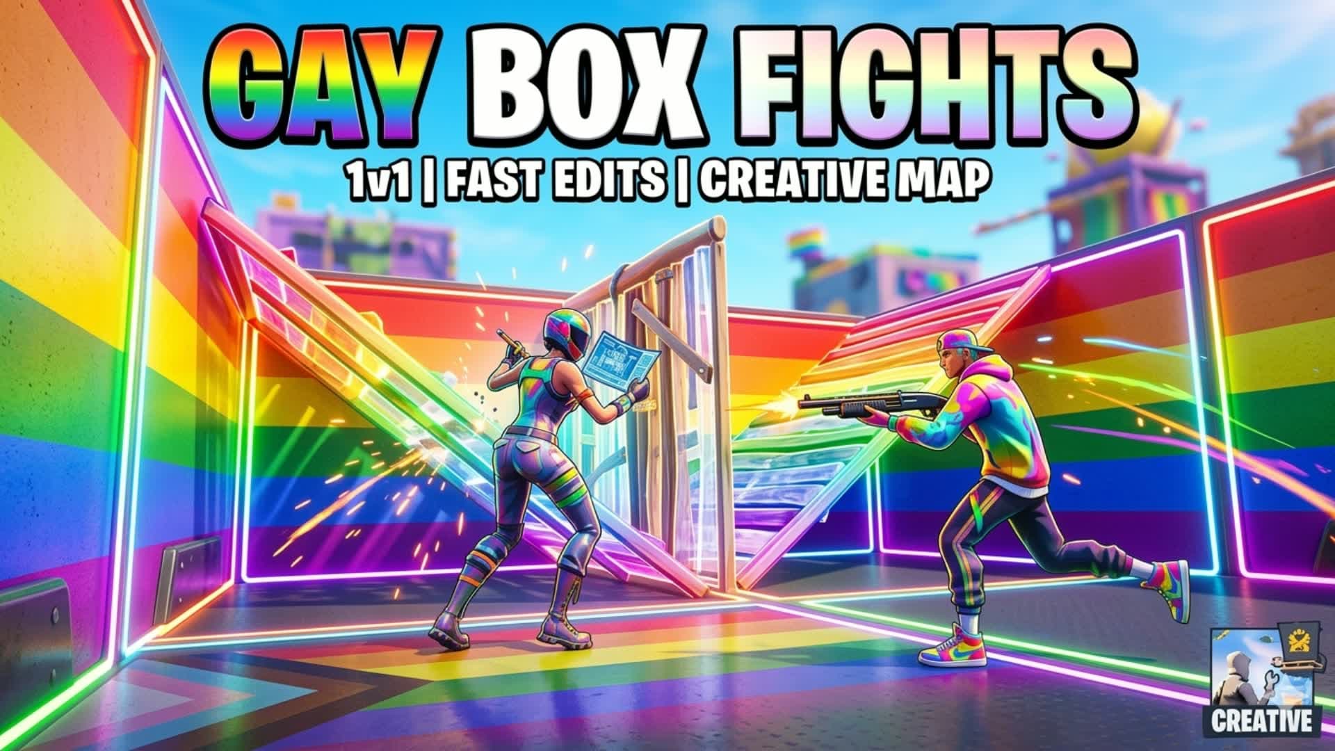 Gay Box Fights