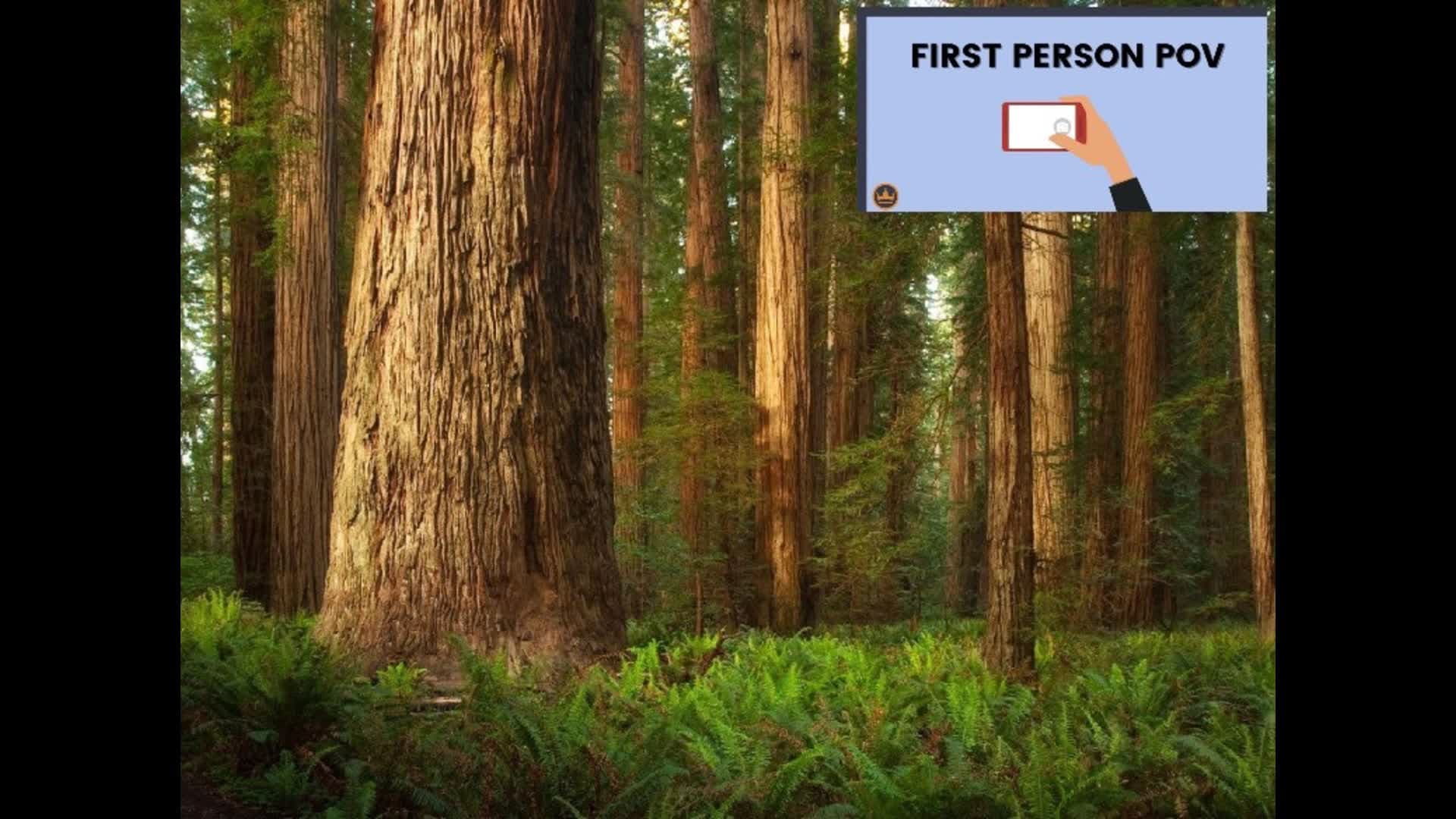 FPS RedWood Forest Sniper OneShot