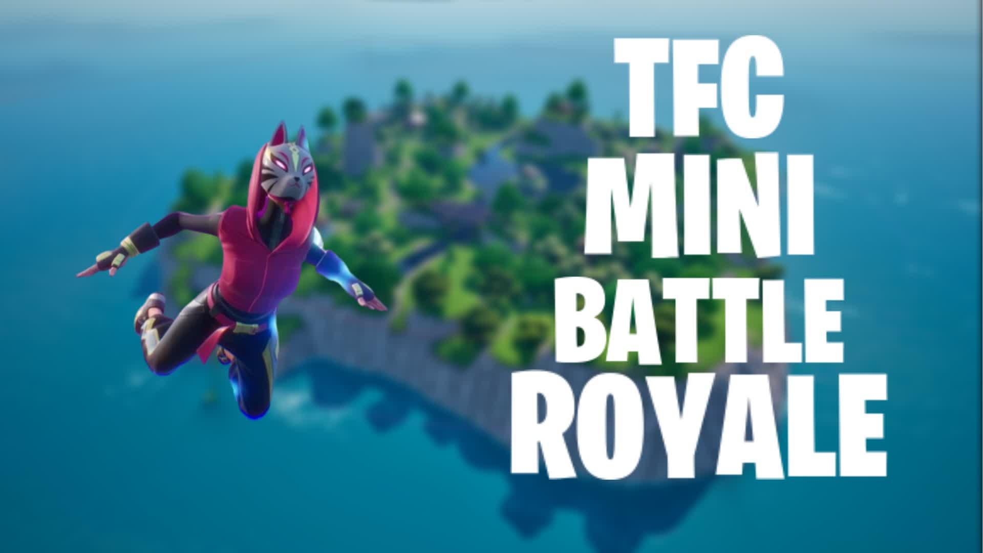 TFC Mini Battle Royale