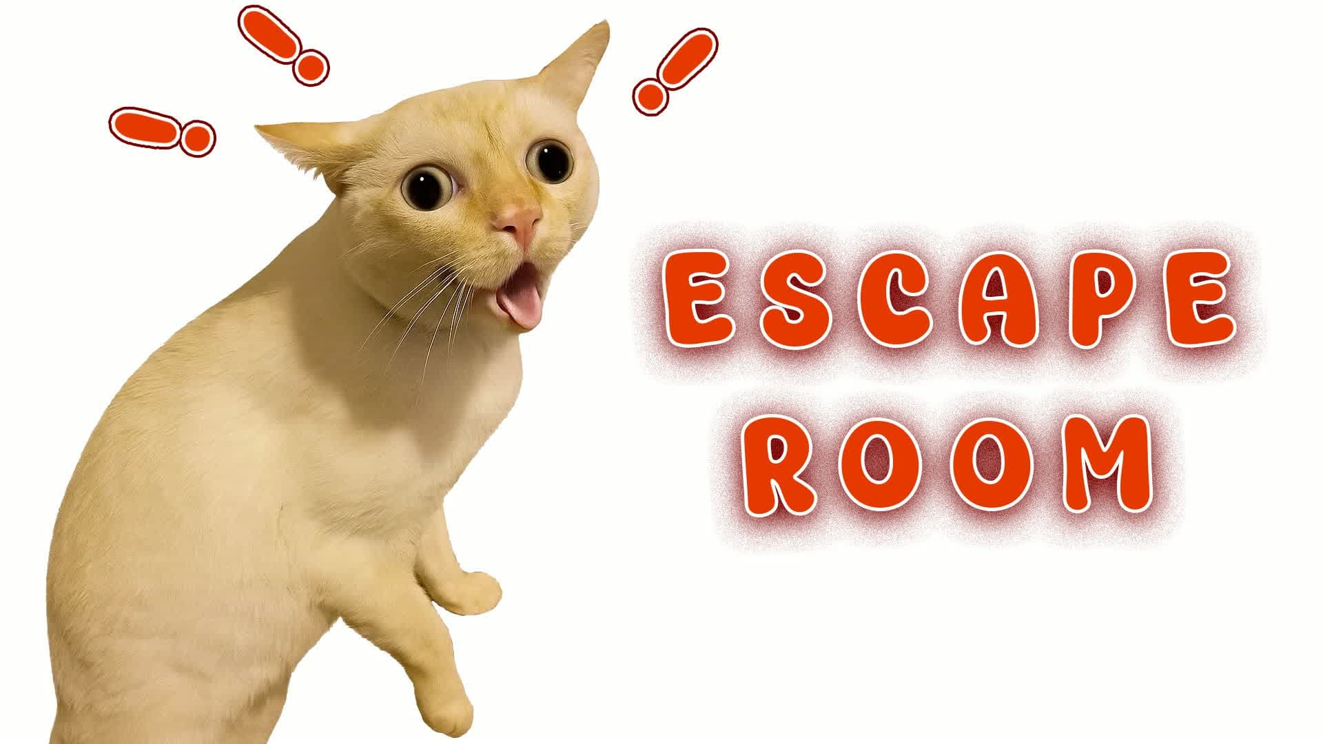 👑 Cat IQ Escape Room 👑