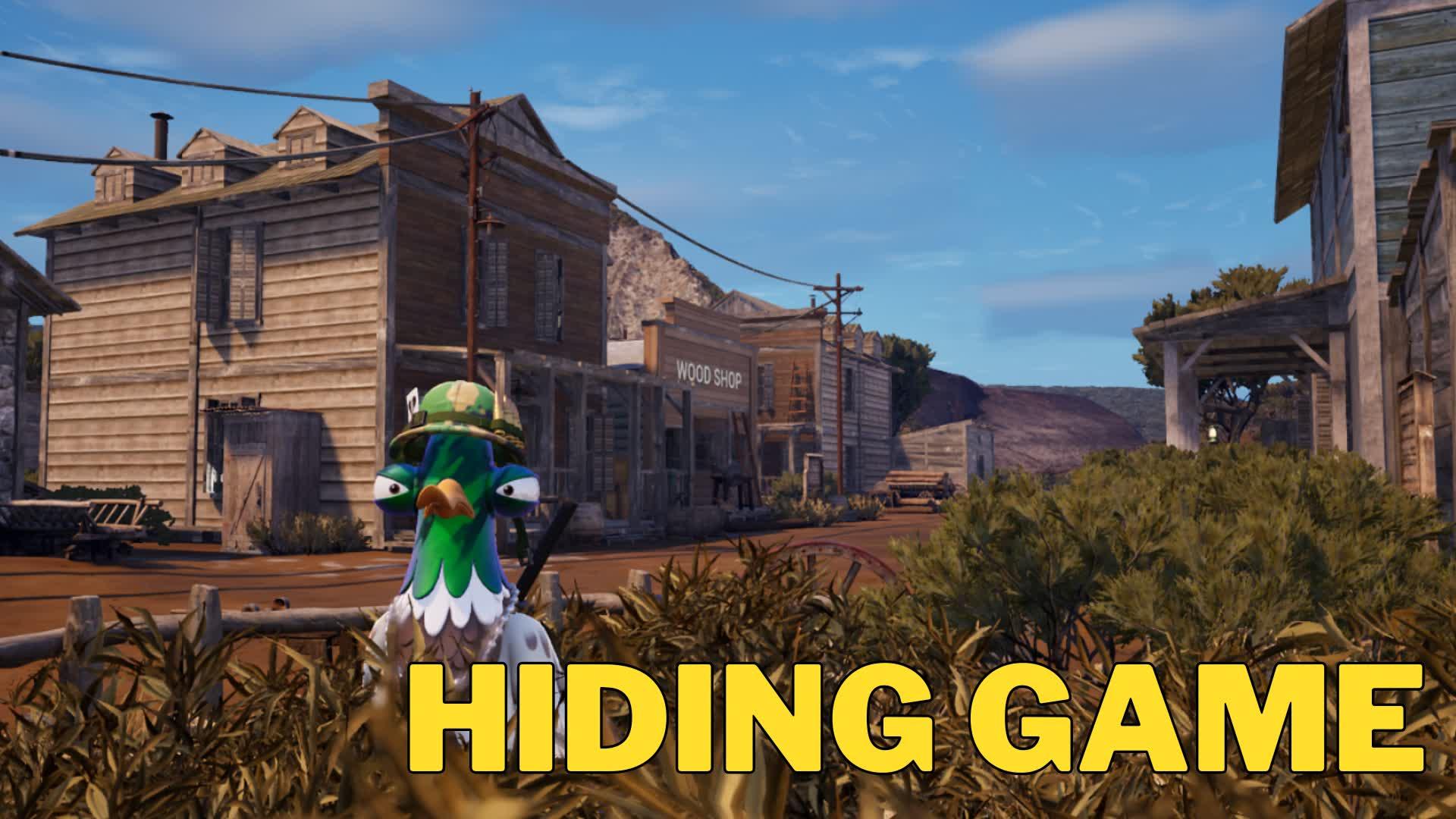 WESTERN Hide and Seek