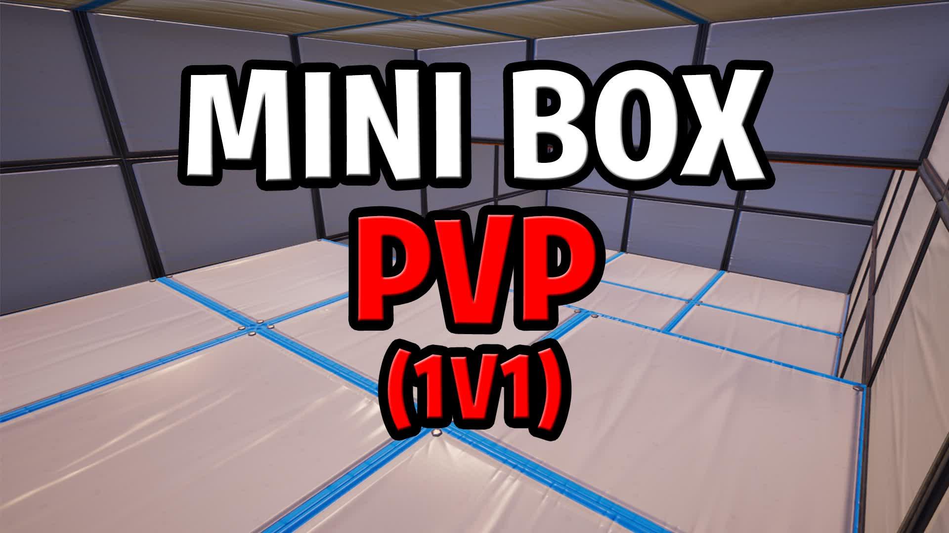 Mini Box (1v1)