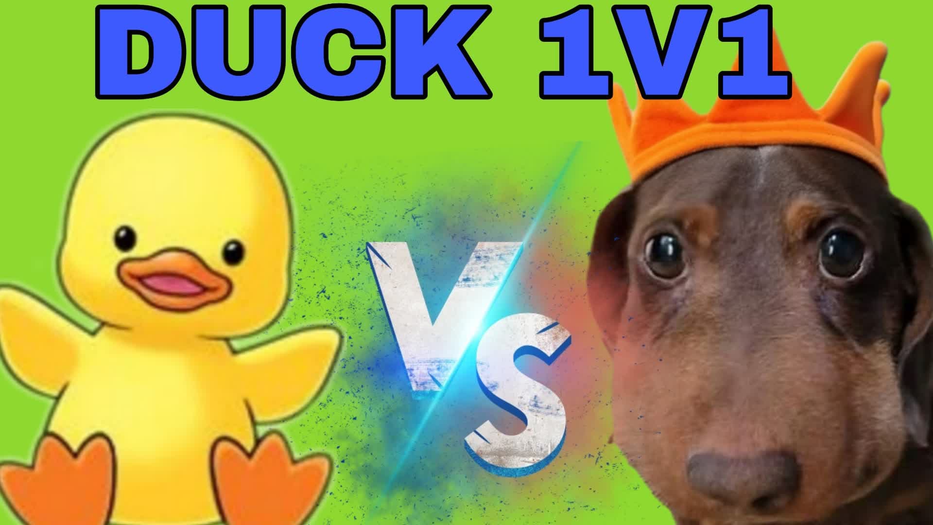 DUCK 1V1