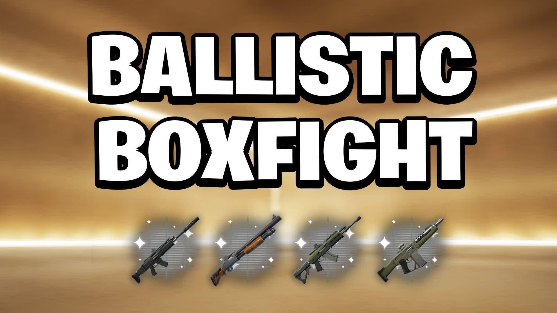 🤪BALLISTIC BOXFIGHTS - FIRST PERSON📦