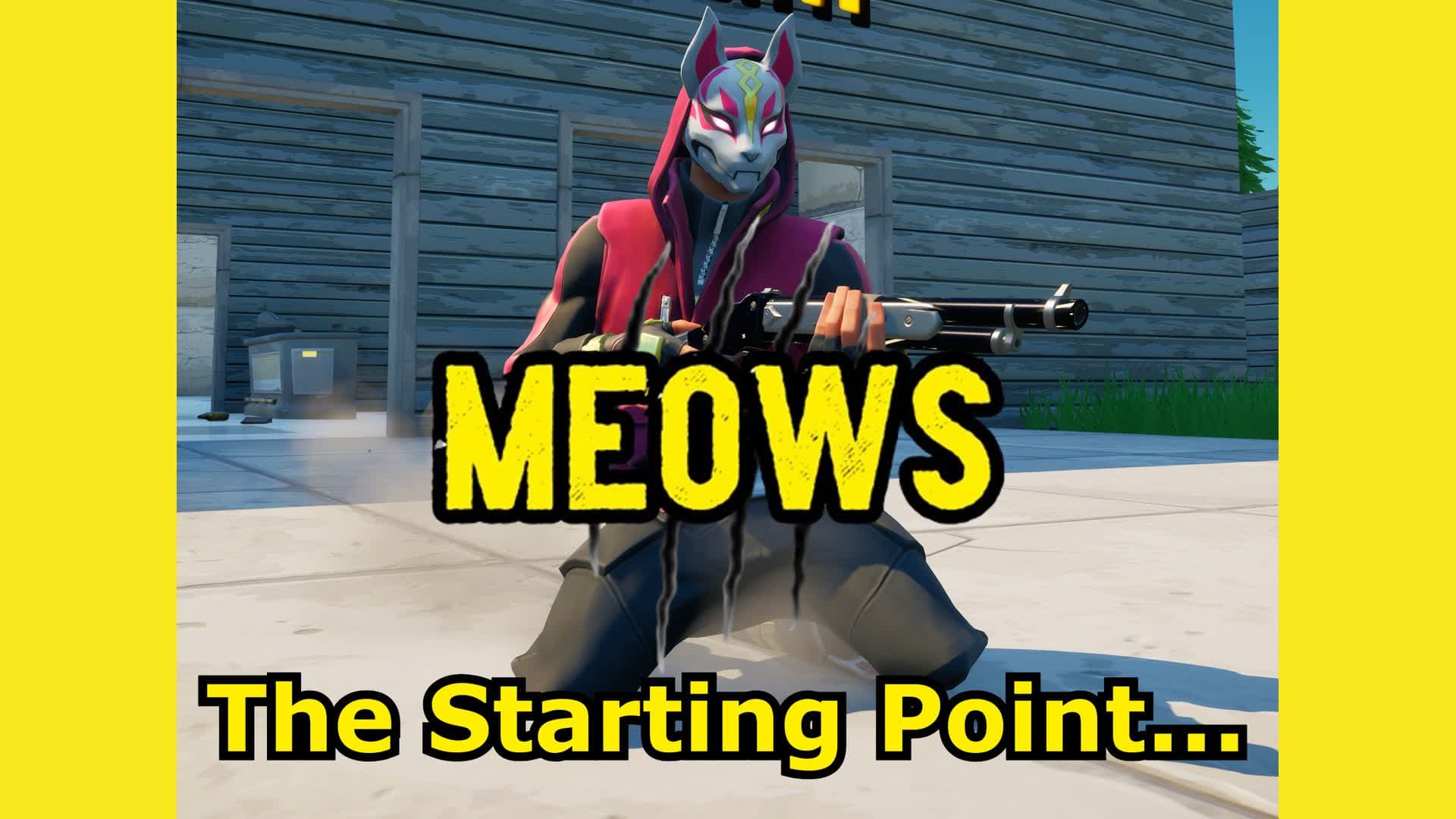 Meows, The Starting Point