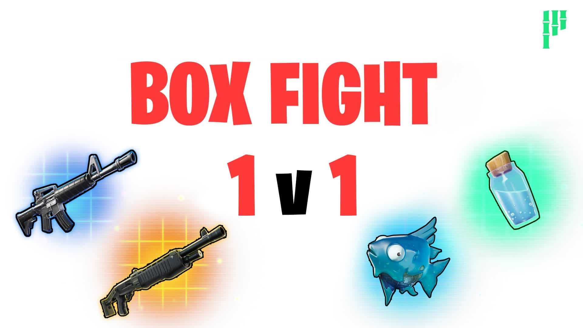 1Vs1 BOX FIGHTS