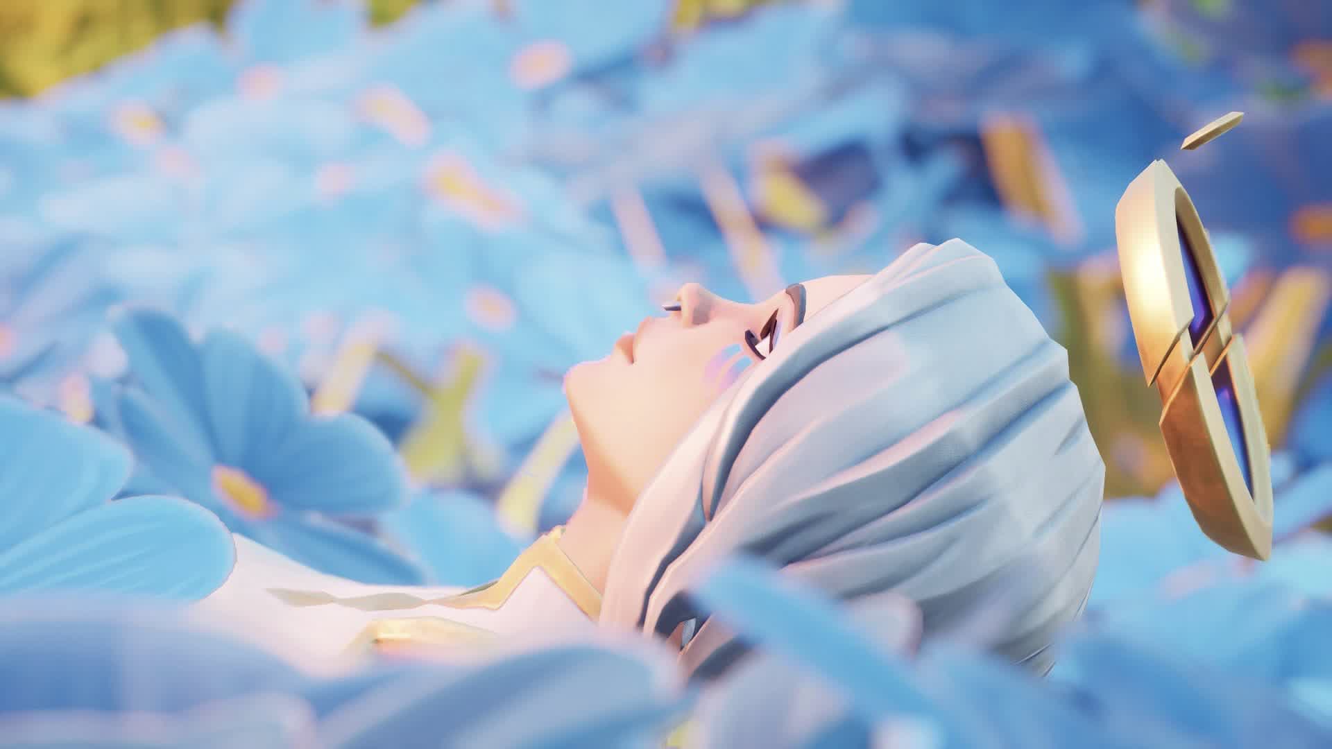 ネモフィラ/ Nemophila