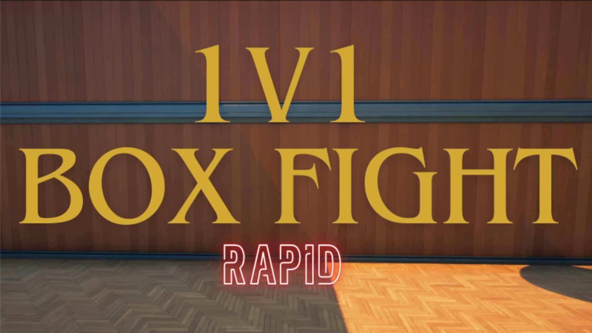 1v1 Box fights