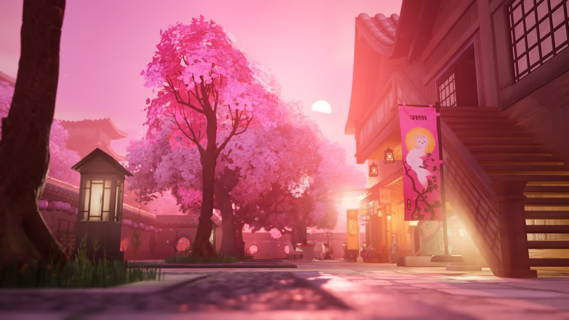Cherry Blossom Reverie