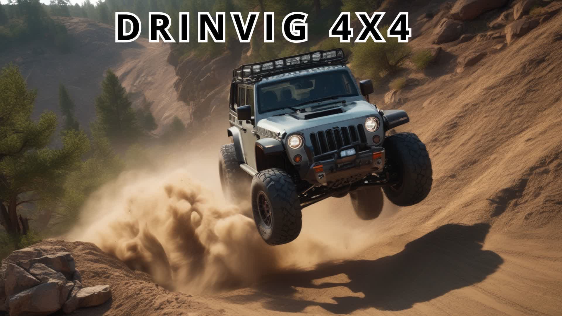 DRINVIG 4X4 REALISTIC
