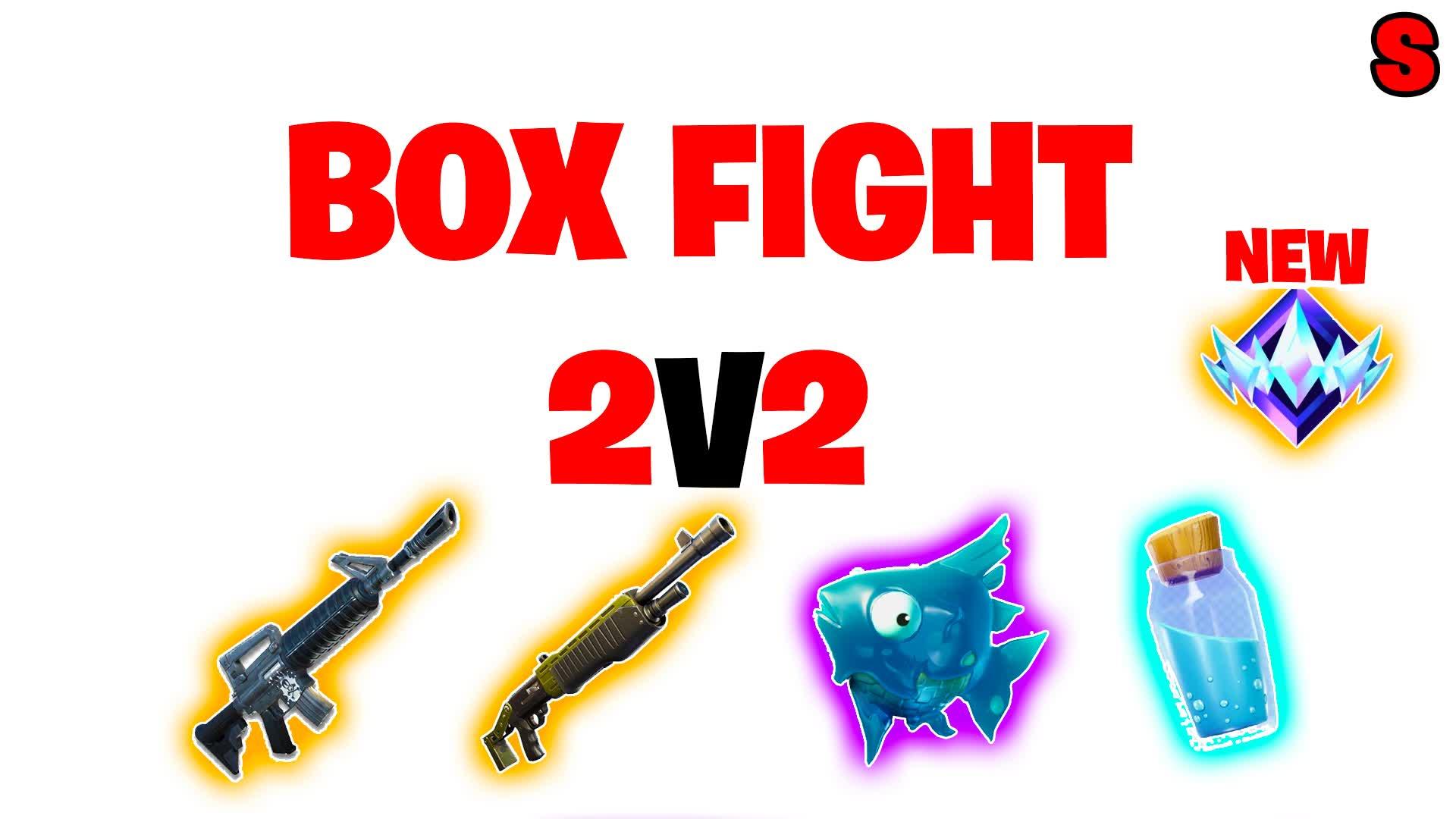 2V2 BOX FIGHT