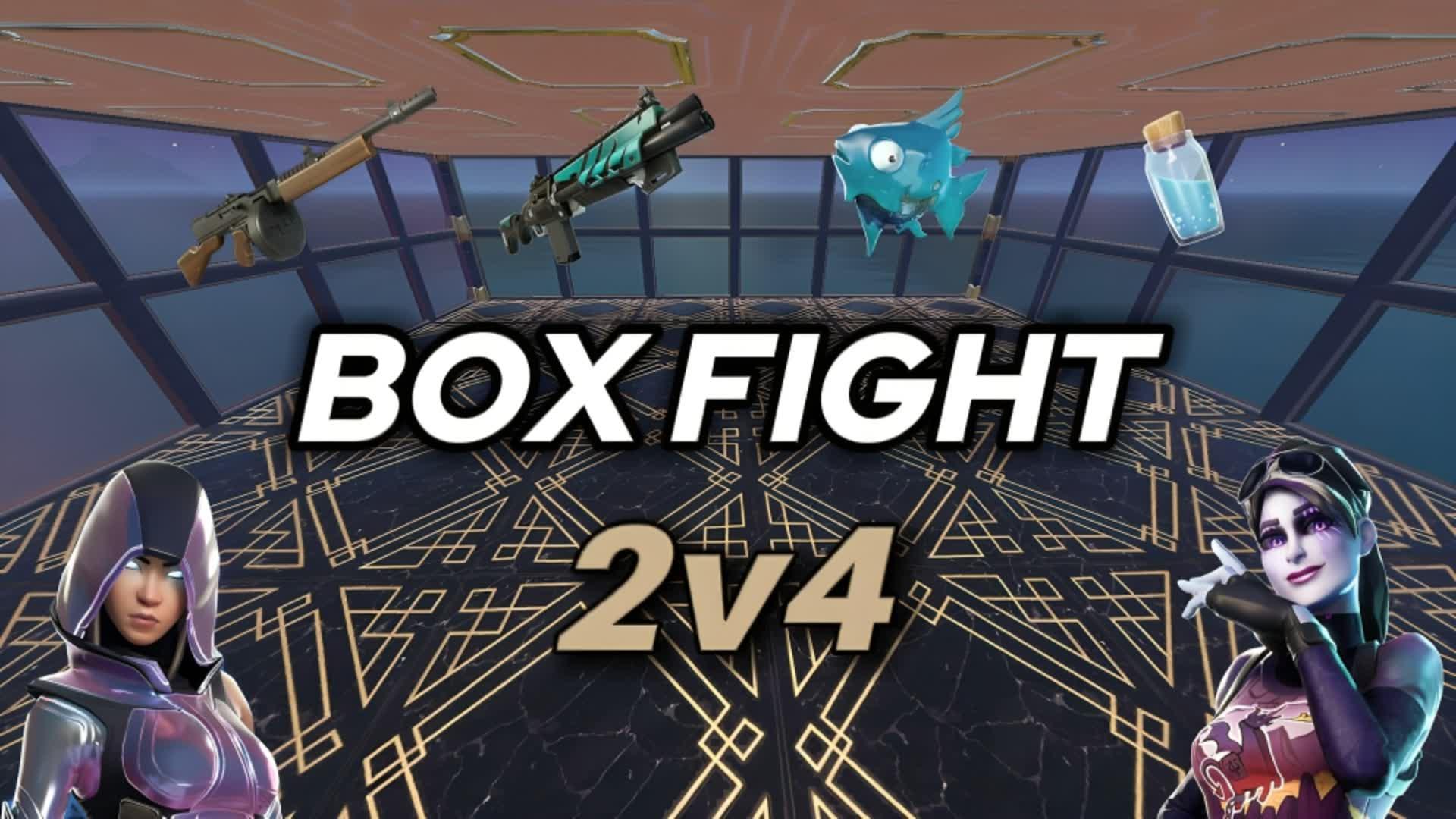 BOX FIGHT 2V4