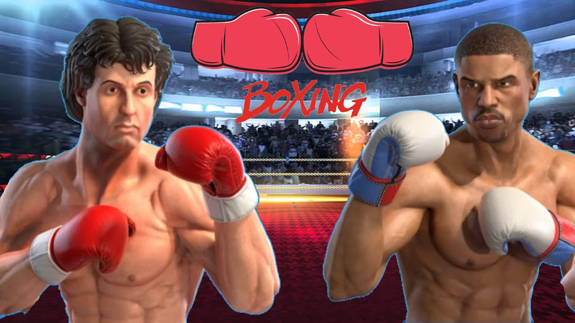 1V1 Boxing