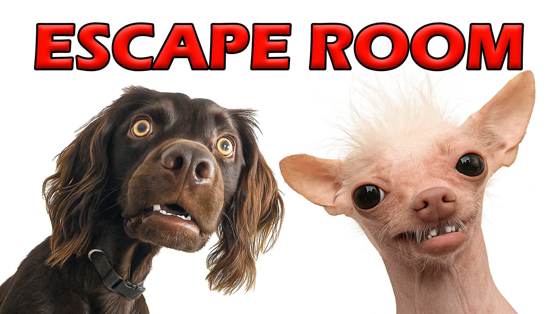 🧠 TEST YOUR IQ ❓ ESCAPE ROOM 🚪