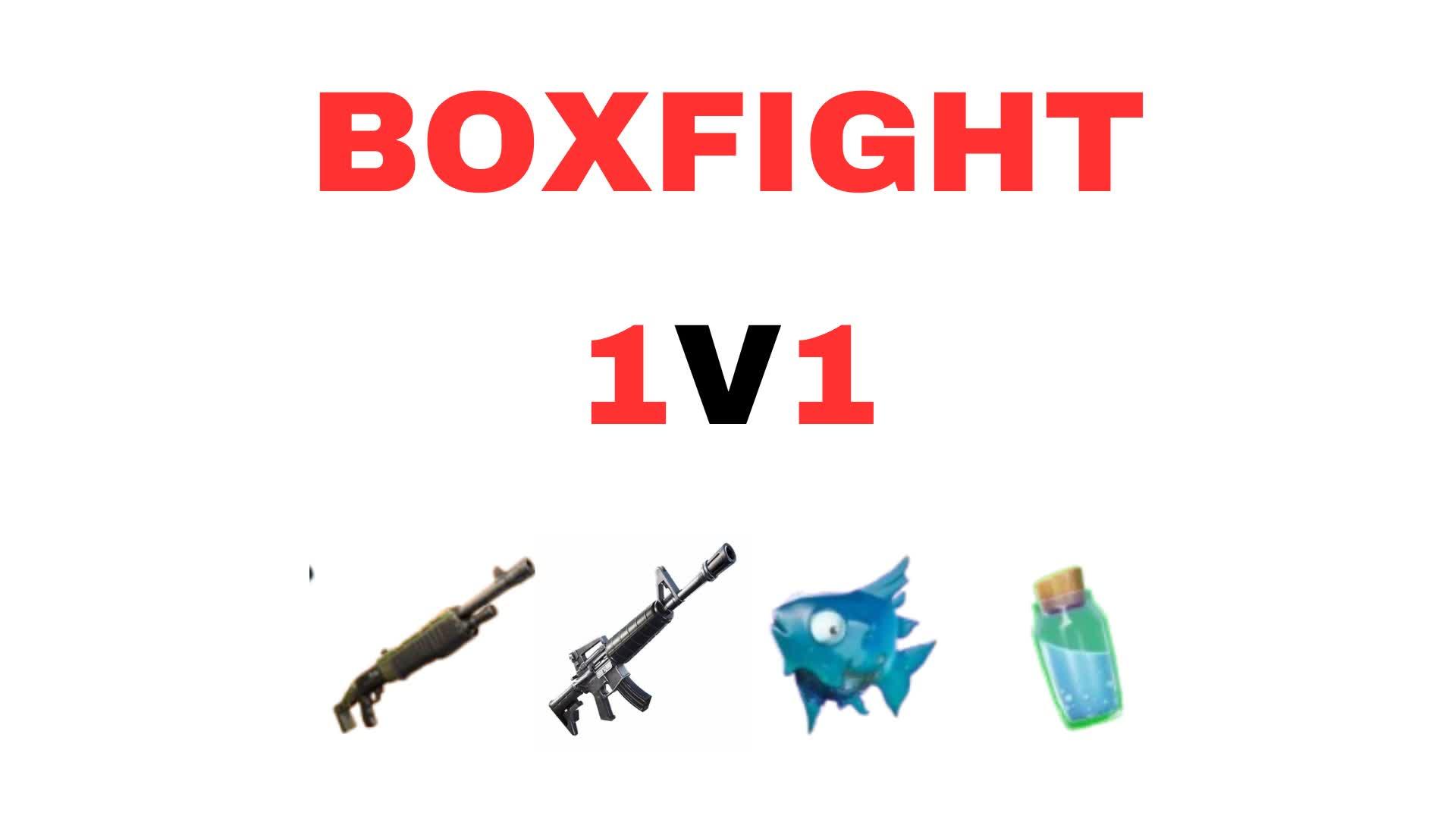 1V1 BOXFIGHT