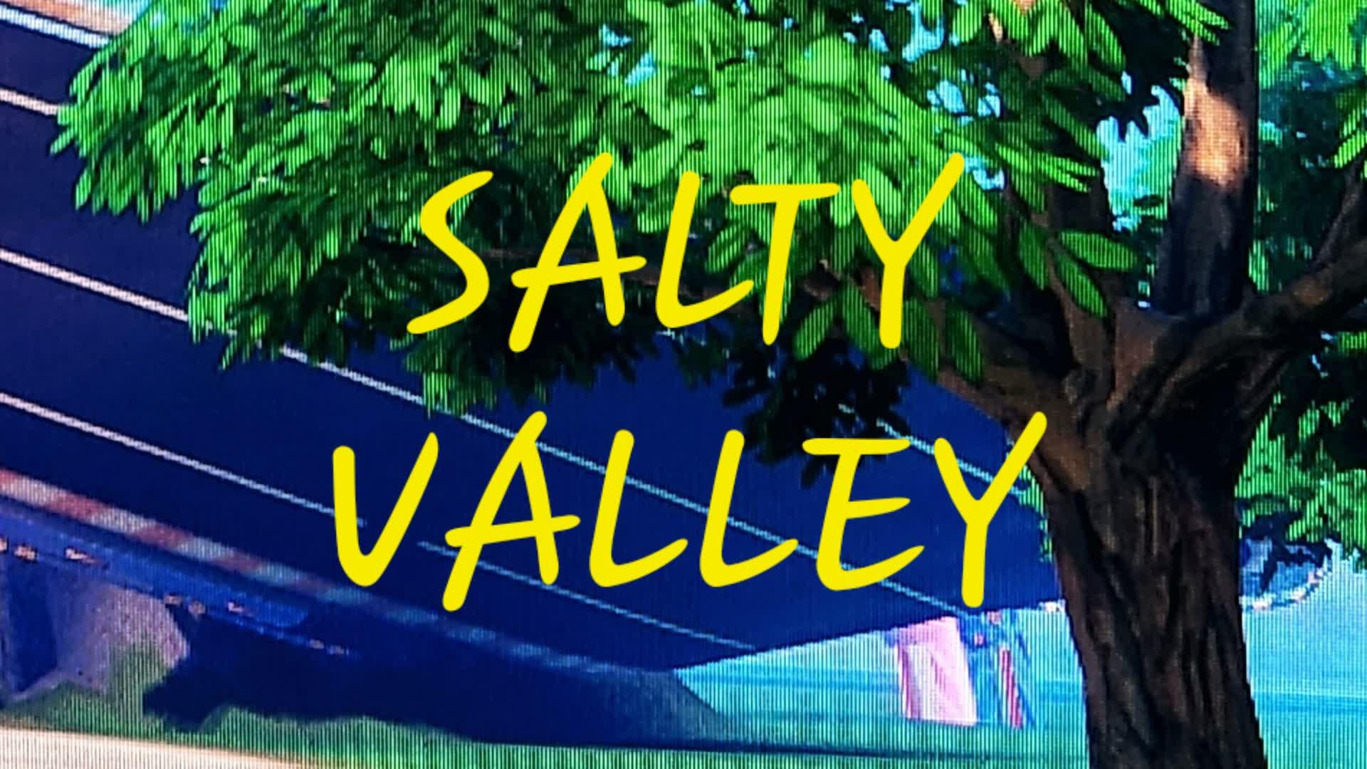 SaltyValley