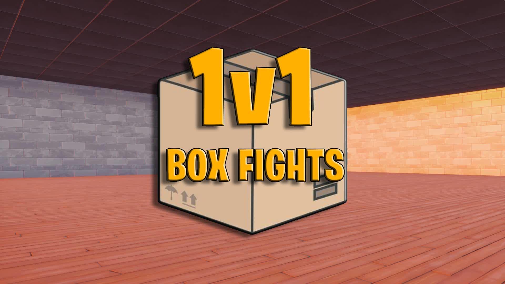 1V1 BOX FIGHT