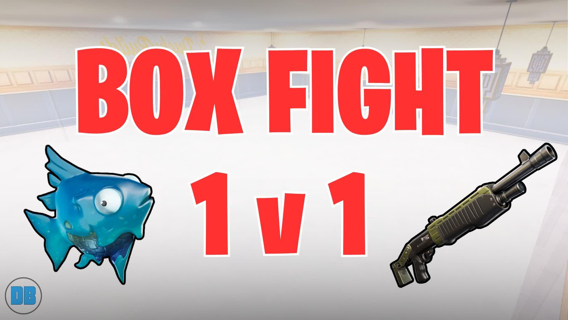 1v1 BOX FIGHT