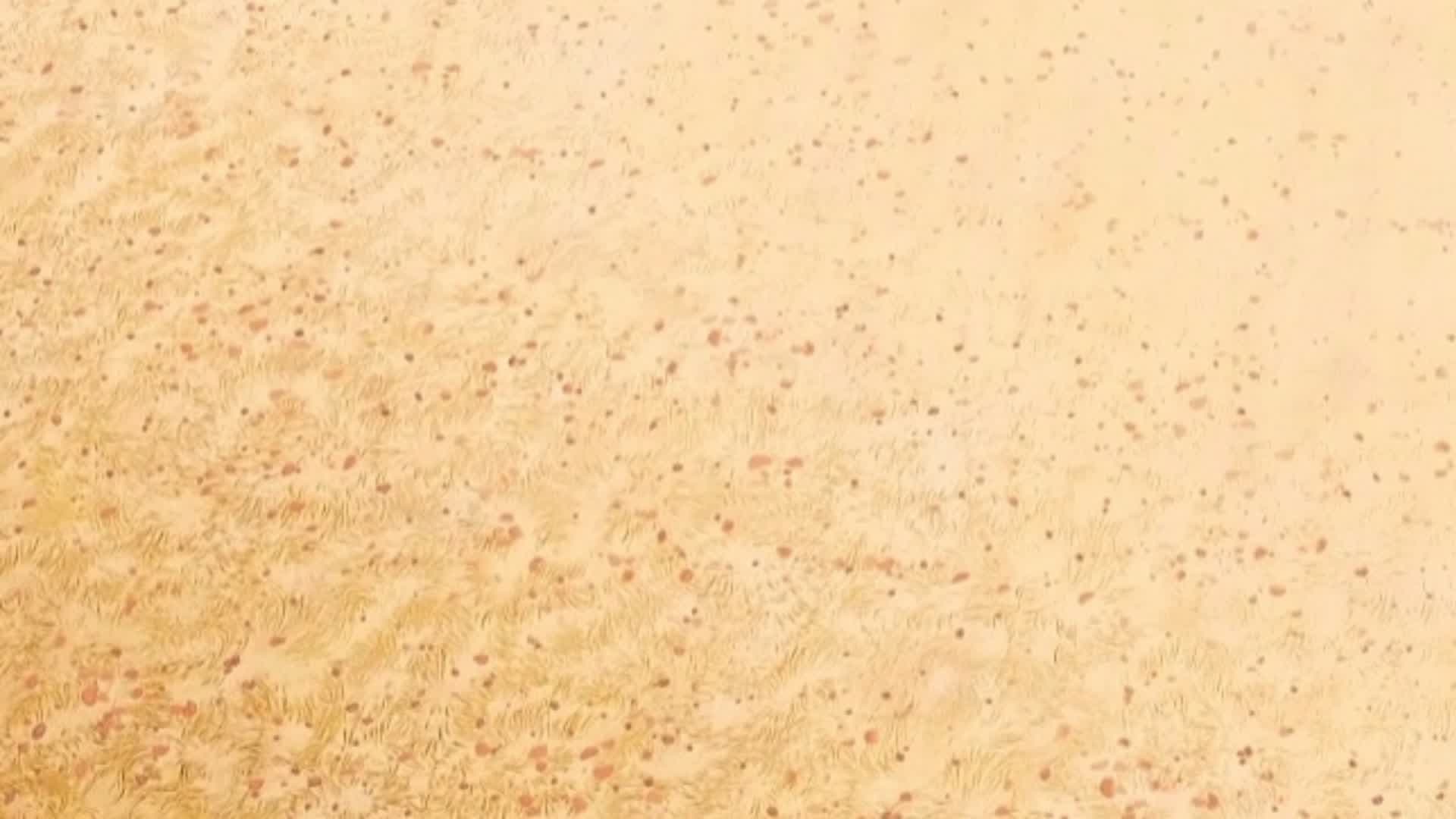 Empty Desert