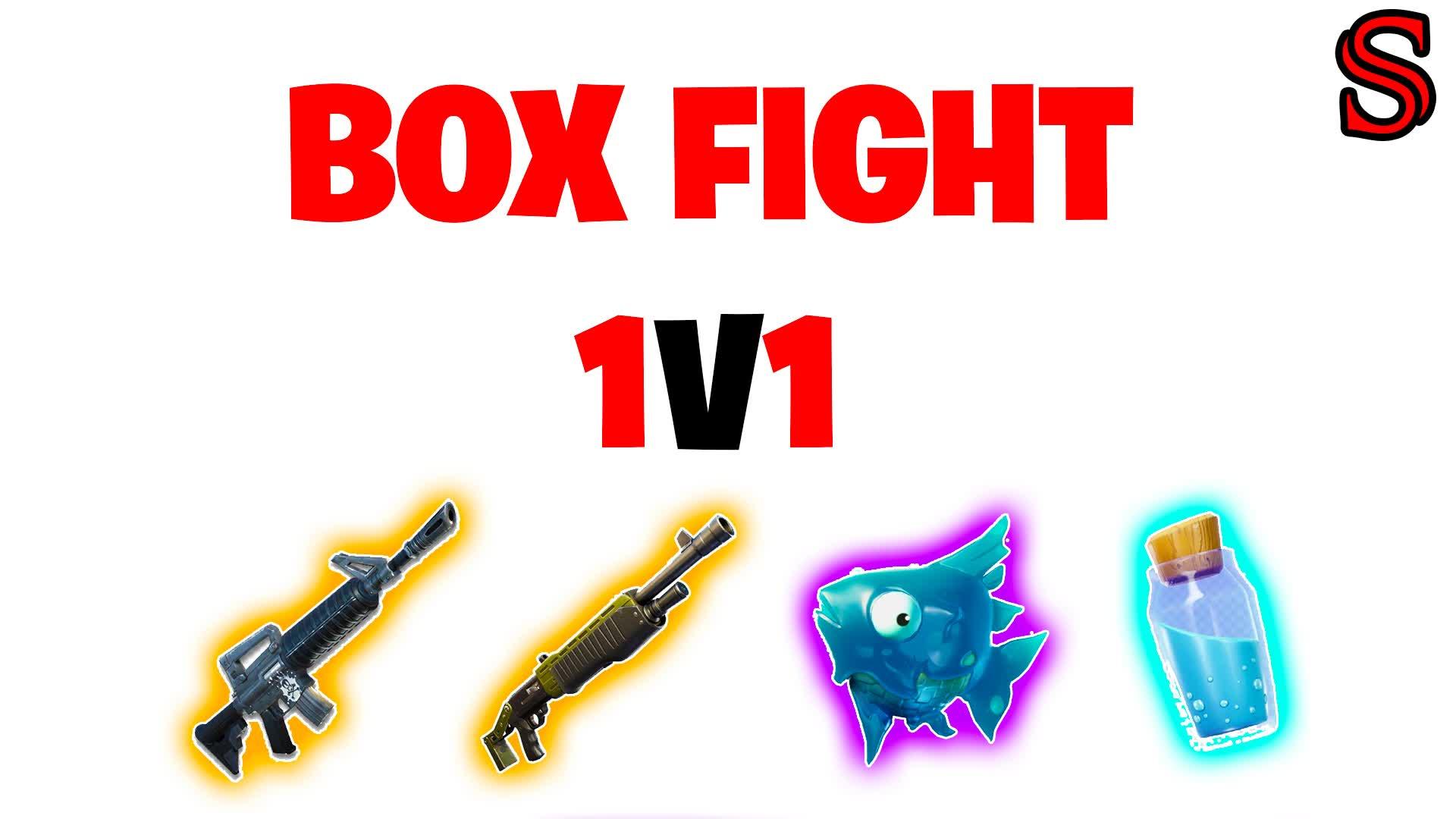 1V1 BOX FIGHT