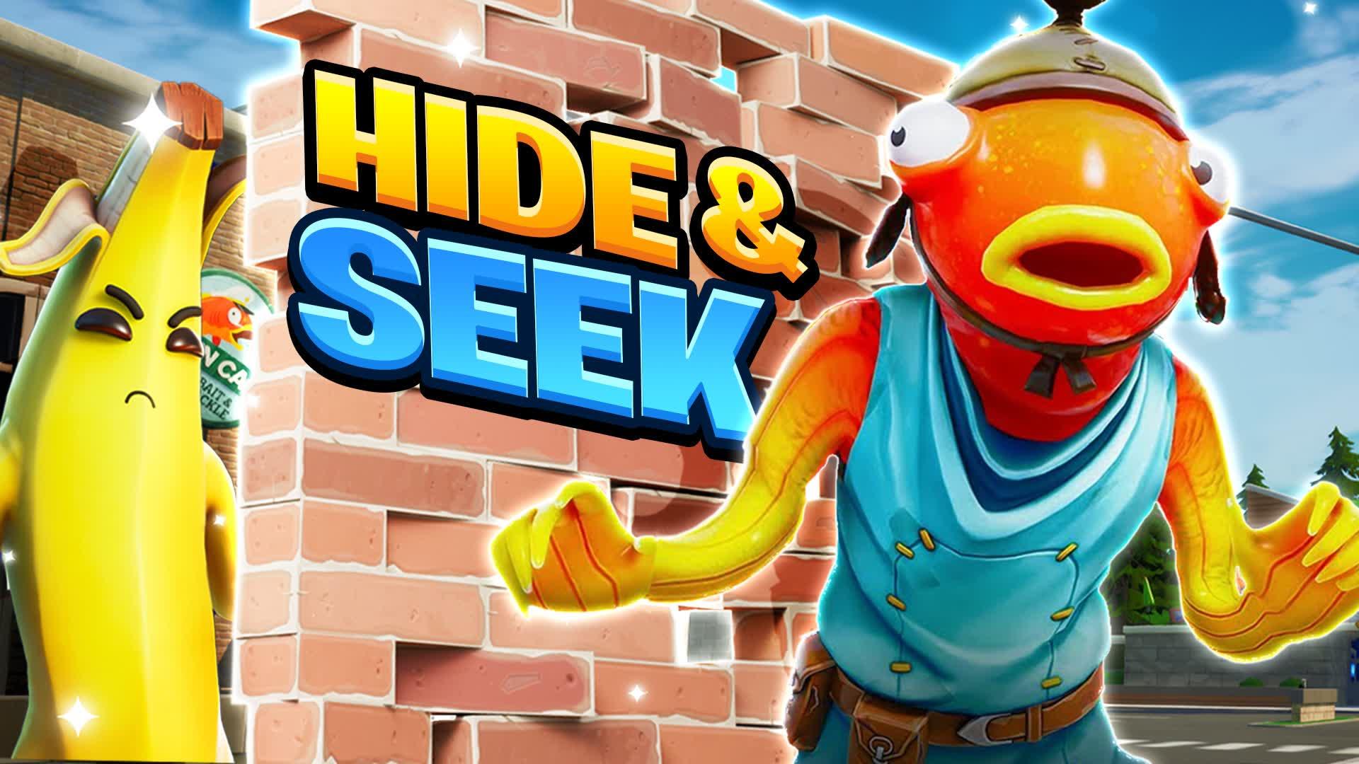 Hide and Seek