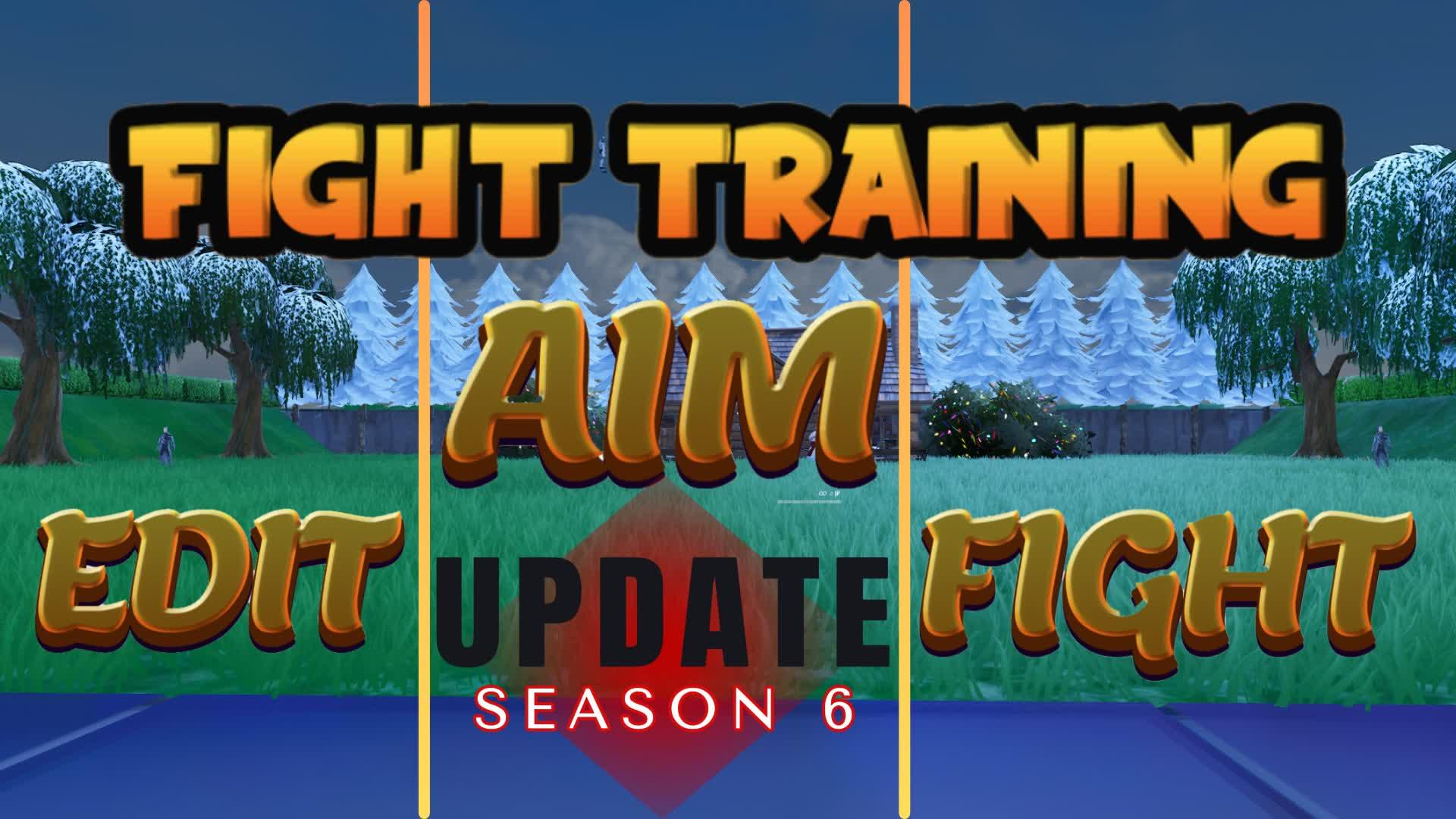 Aim - Fight Training