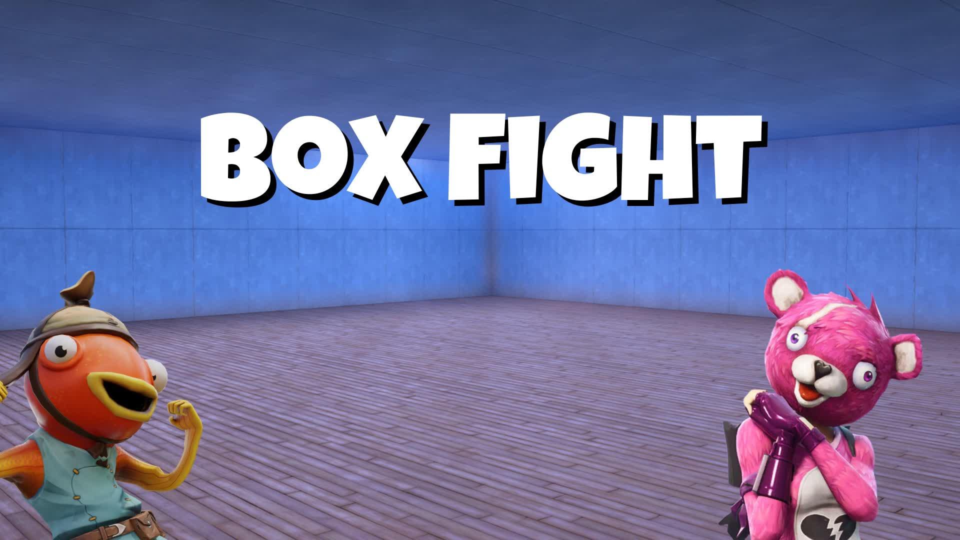 Boy Box Fight