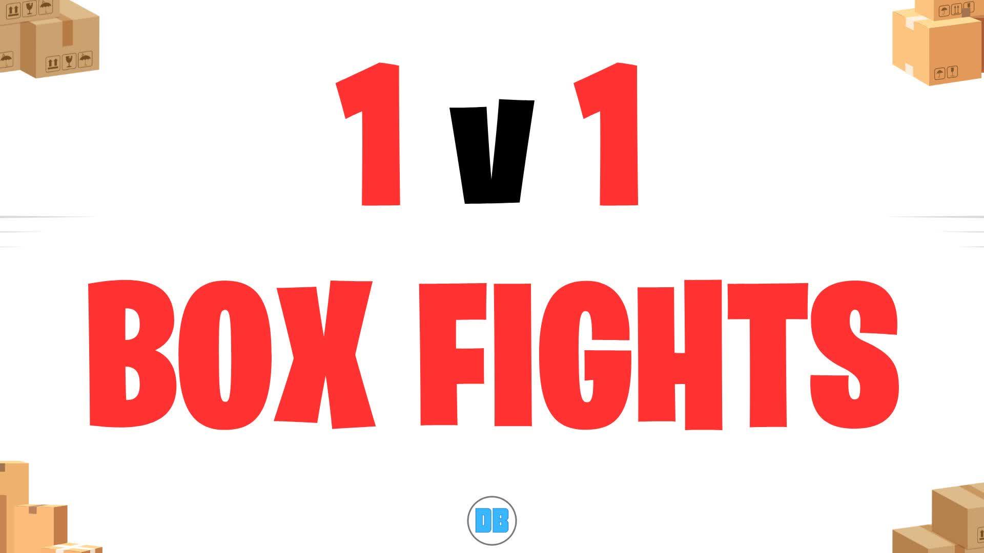 1v1 BOX FIGHT