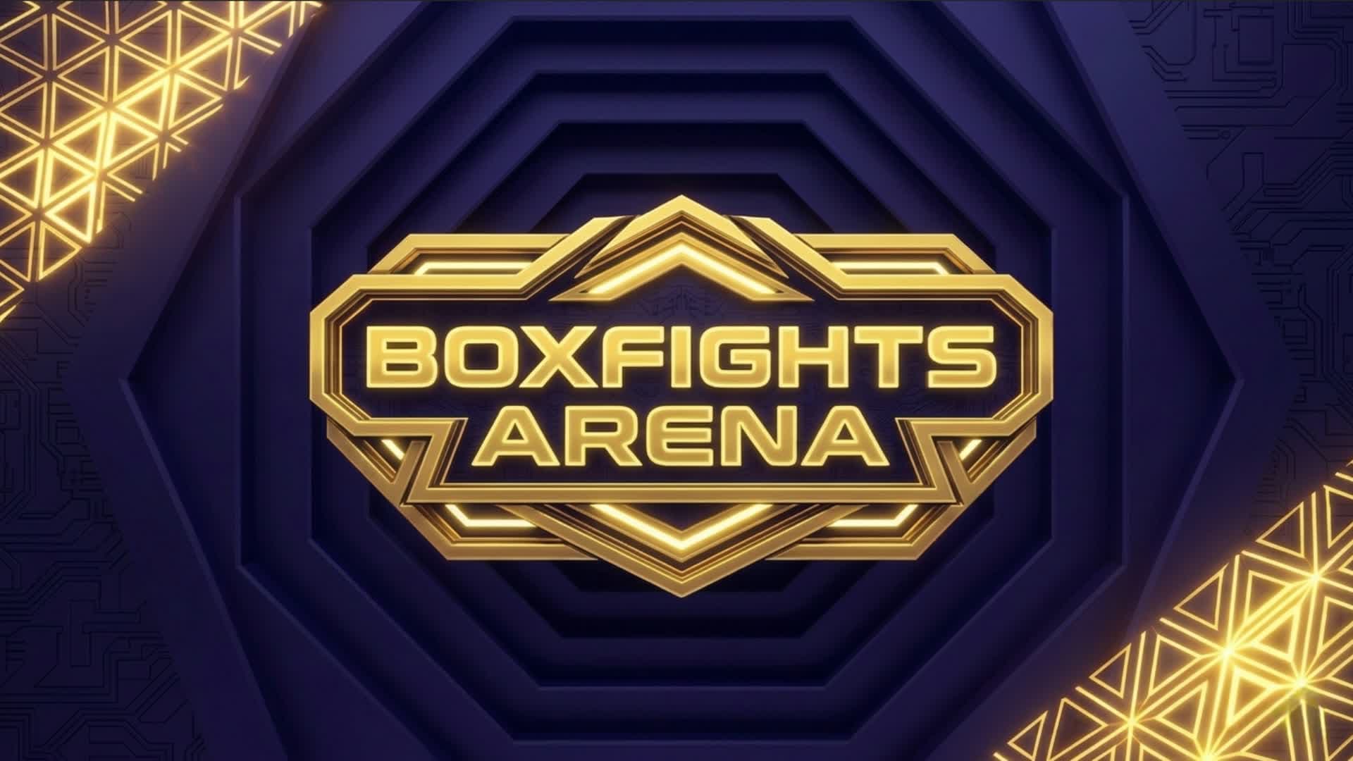Boxfights Arena