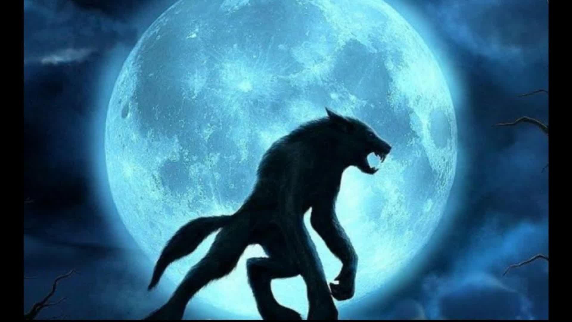 LOUP-GAROU