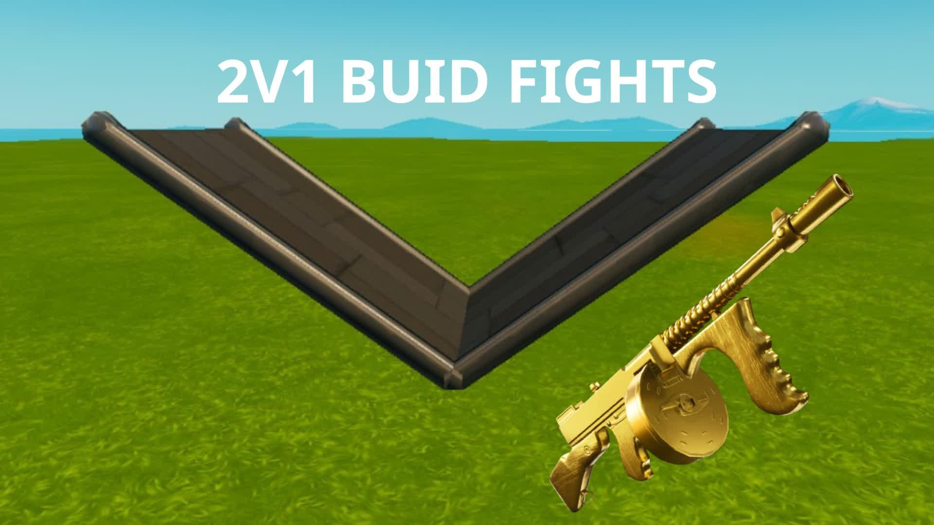 2V1 BUID FIGHTS