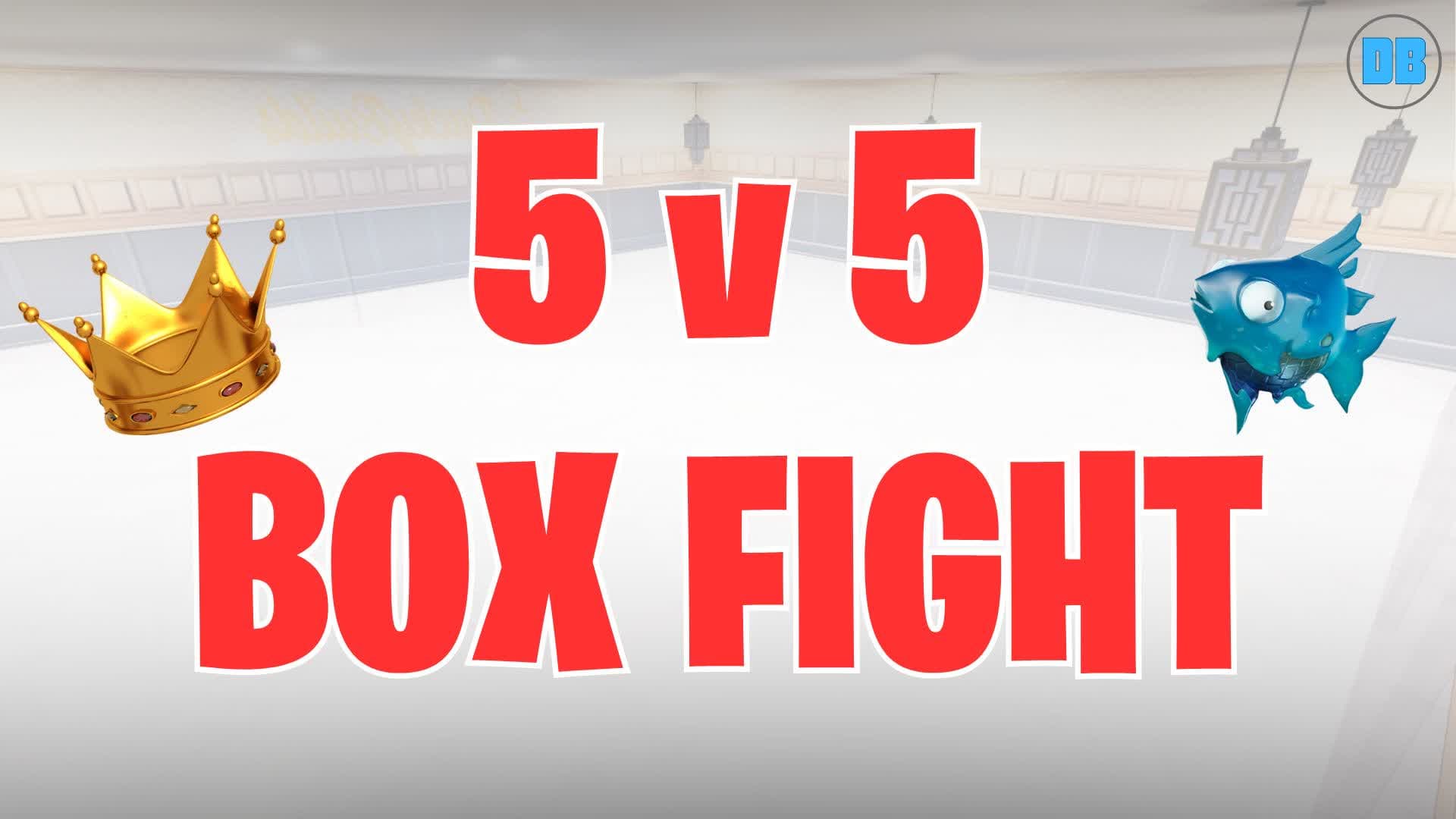 5v5 BOX FIGHT