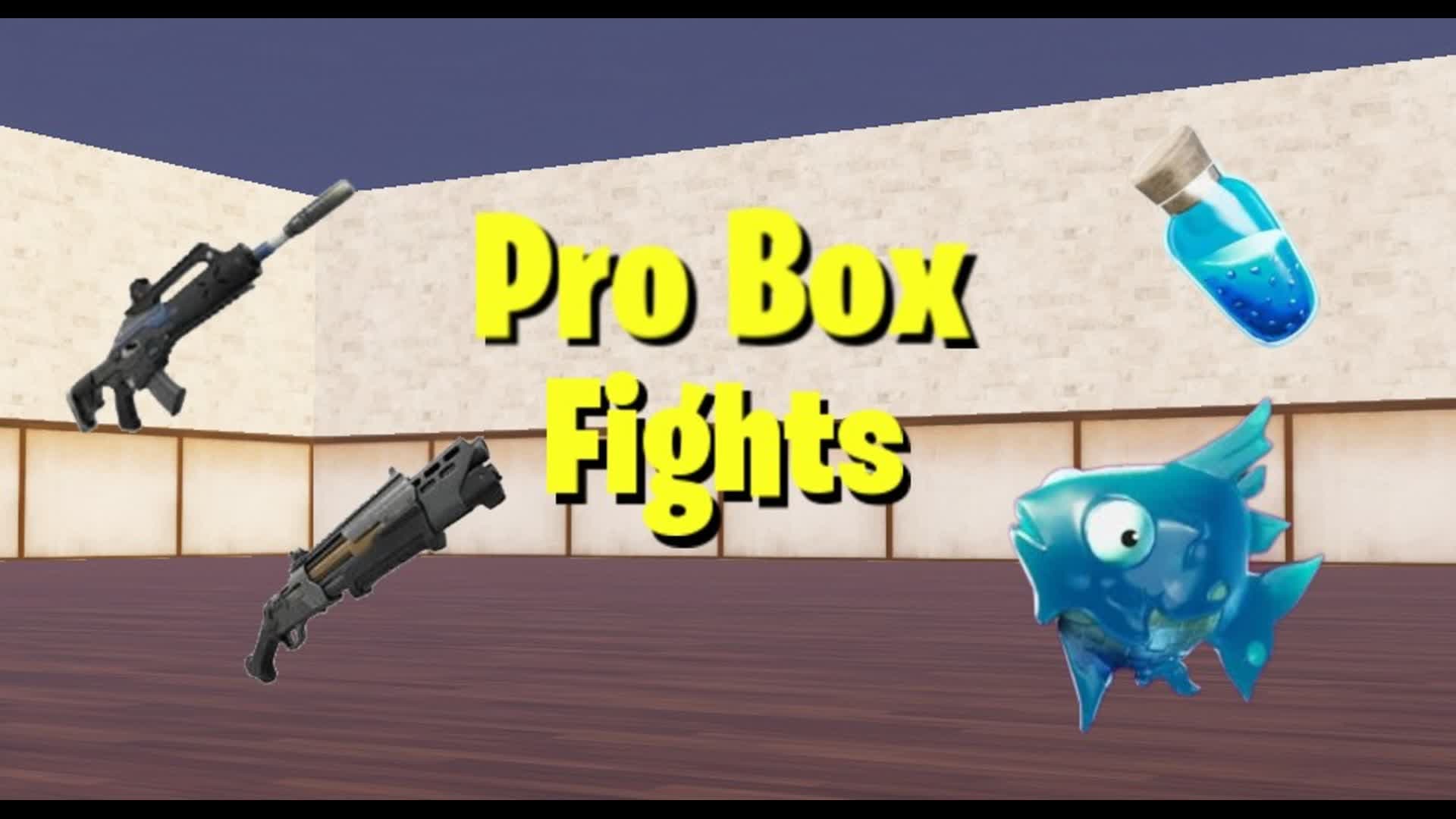 Pro Box fights