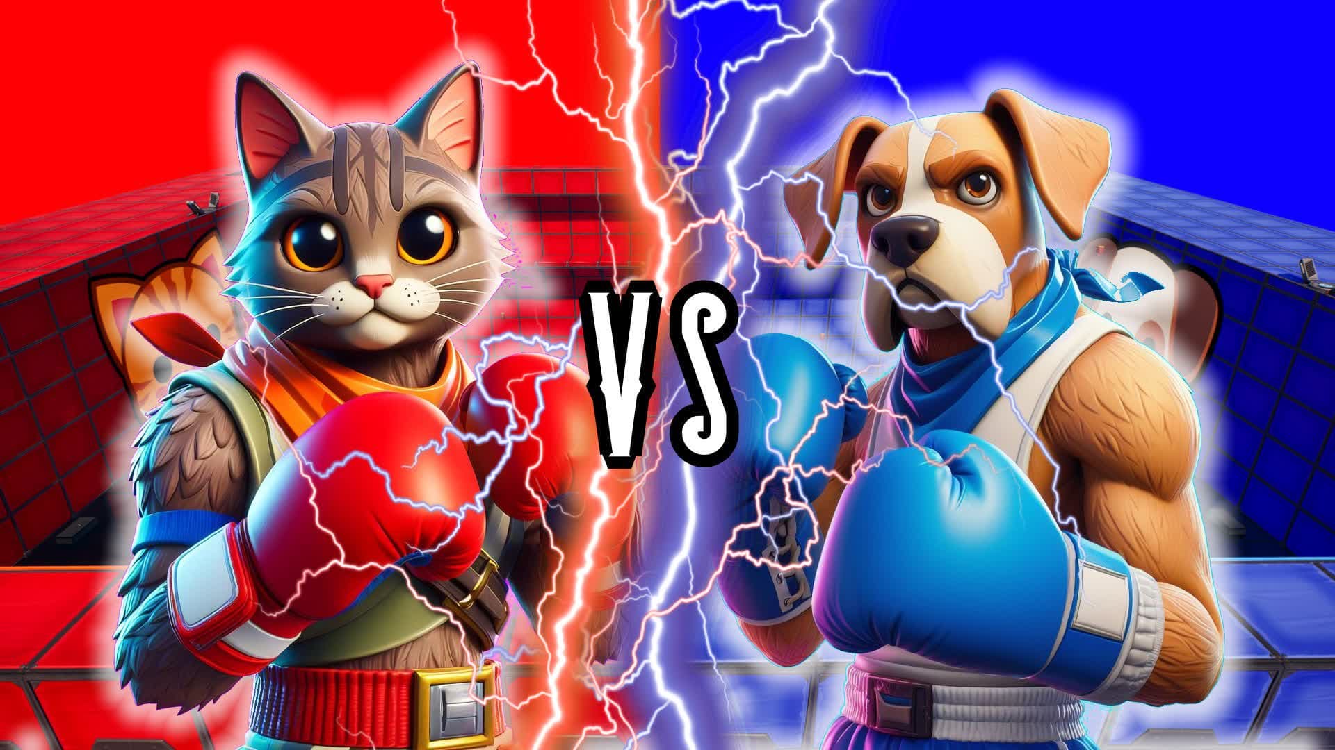 DOG VS CAT🎥