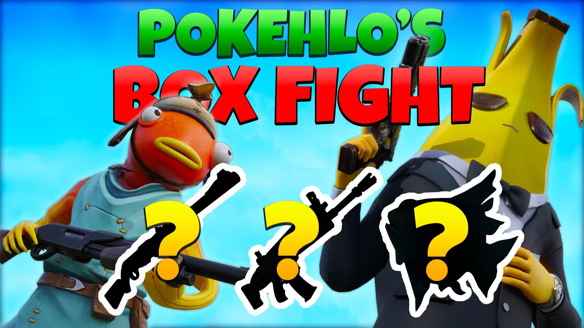 Pokehlo's Box Fight