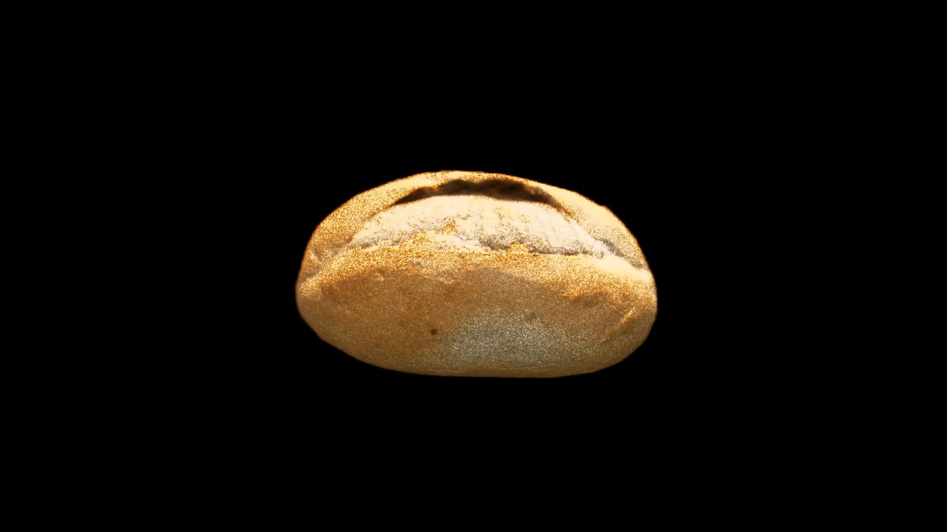 🍞BREAD🍞