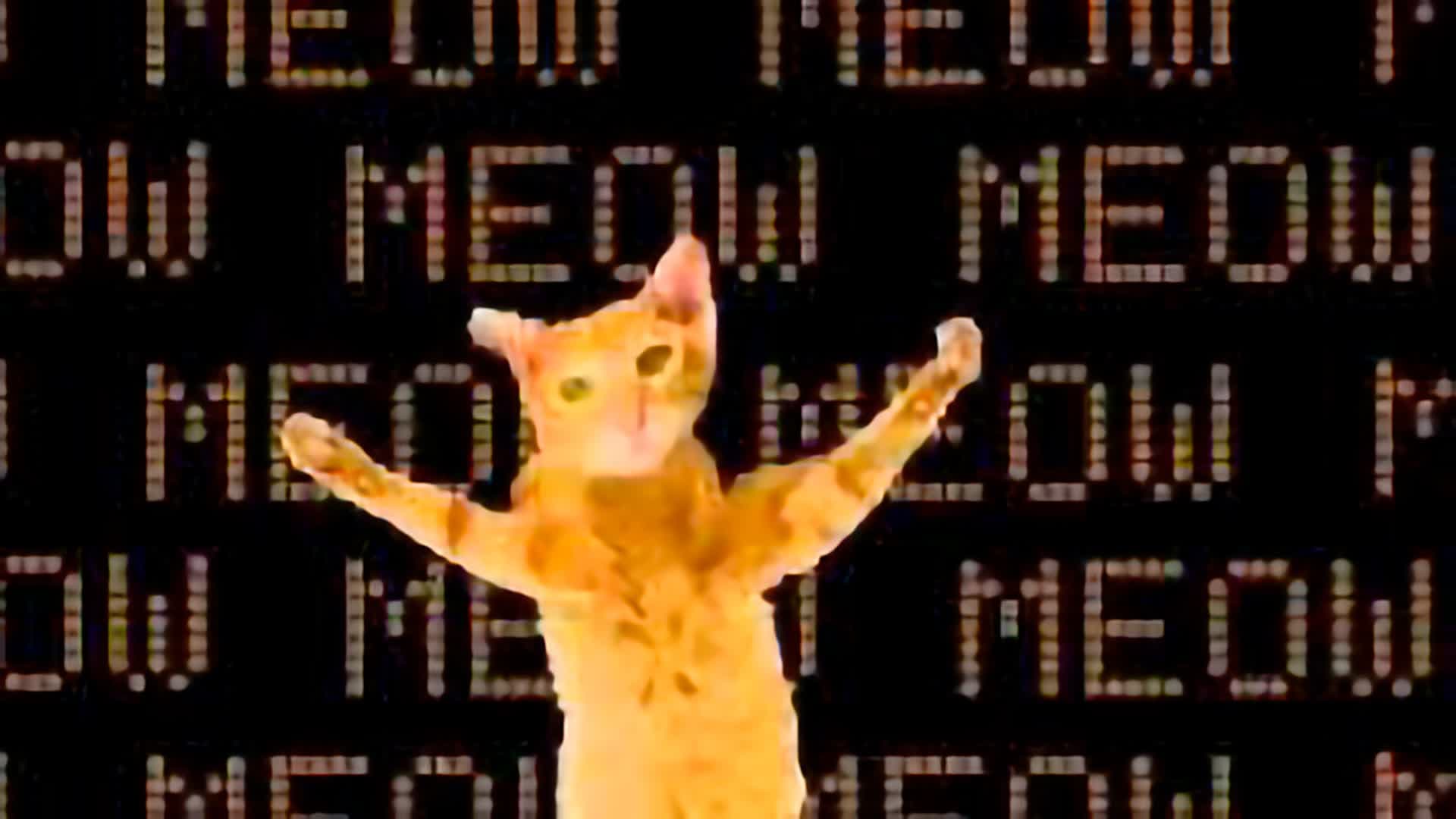 🎥UEFN Video📼: Go Kitty Go!🐱