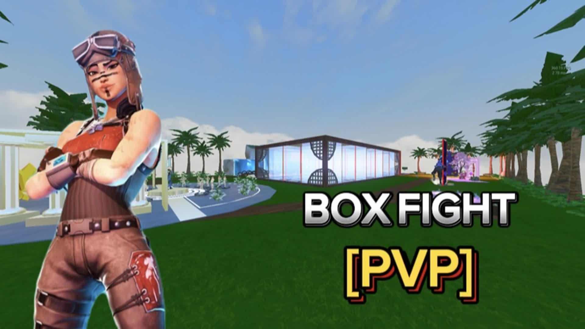 Box Fight[PvP]