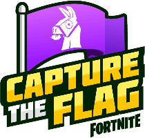 Capture The Flag logo