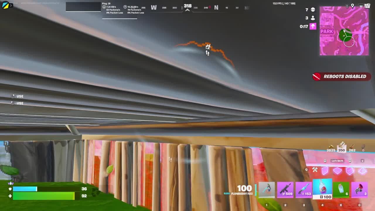 holly 0 ping