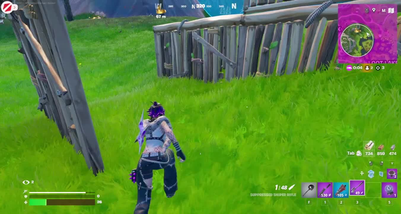 Cheeky Snipe
