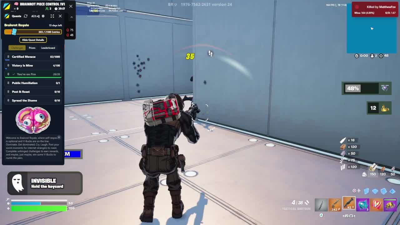 normal fight