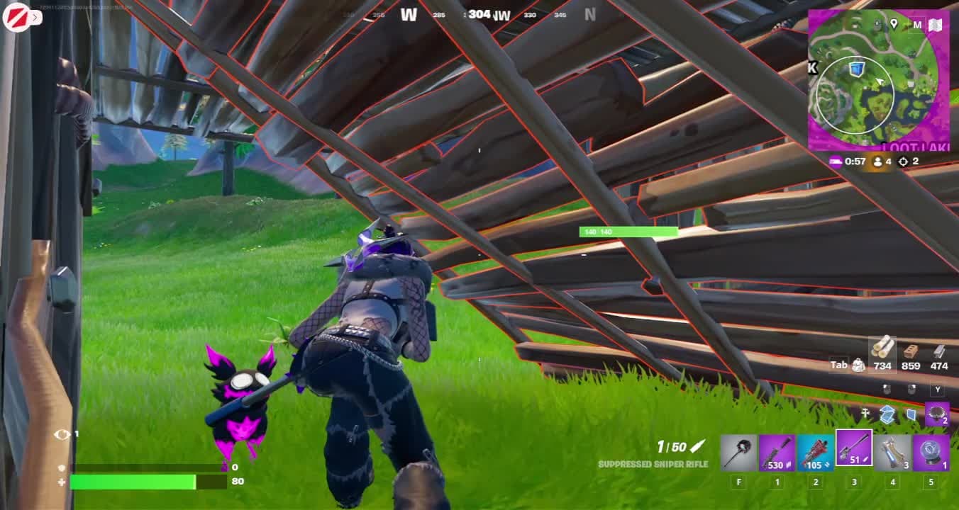 Snipe