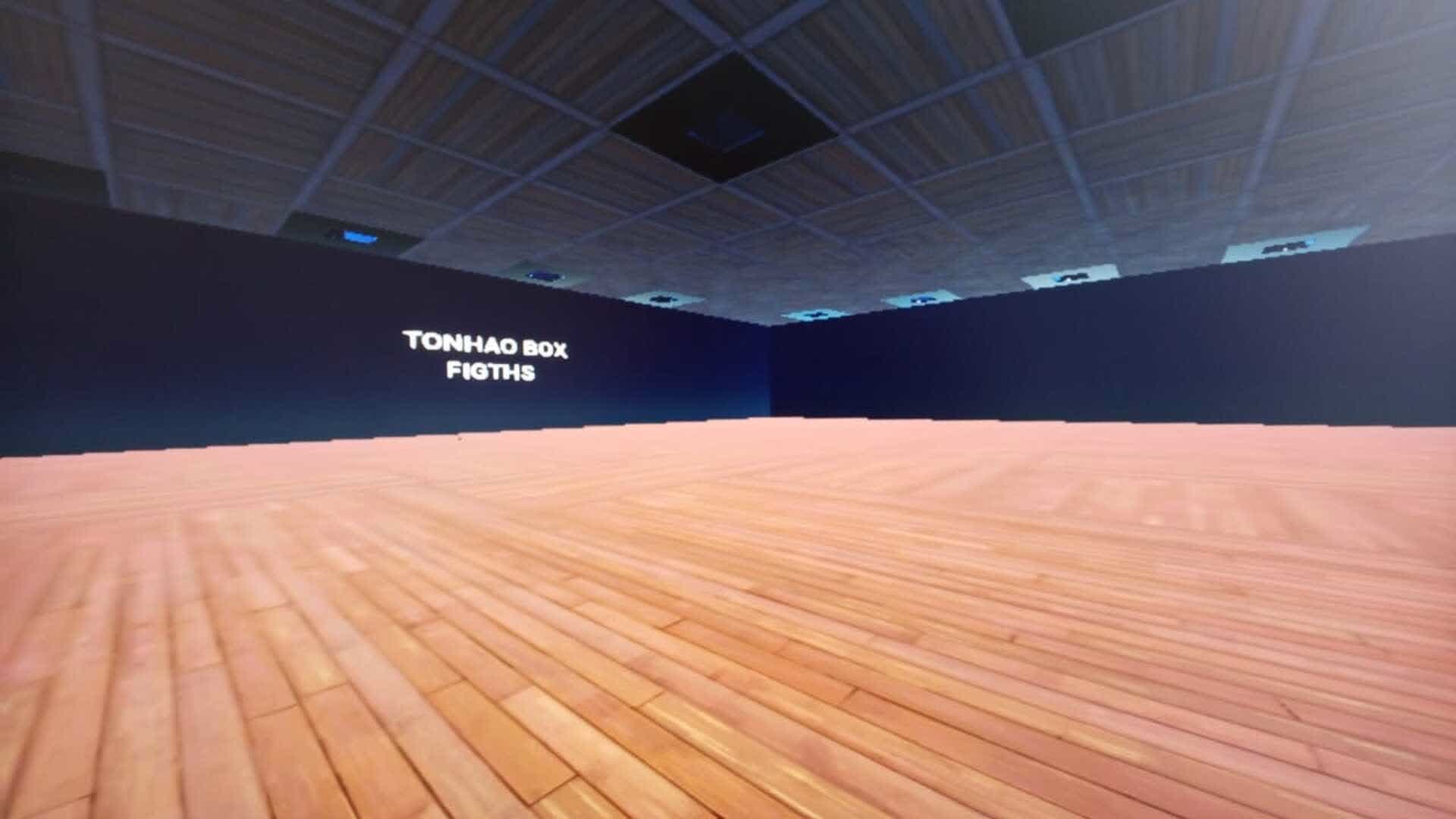 INFINITE BOX FIGTHS (TONHAO)